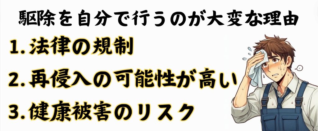 ハクビシンを自分で駆除するのはかなり大変