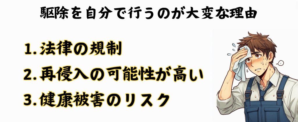 ハクビシンを自分で駆除するのはかなり大変