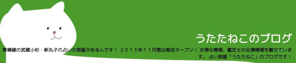 ⑫川崎市中原区｜占い部屋 うたたねこ 新丸子本店